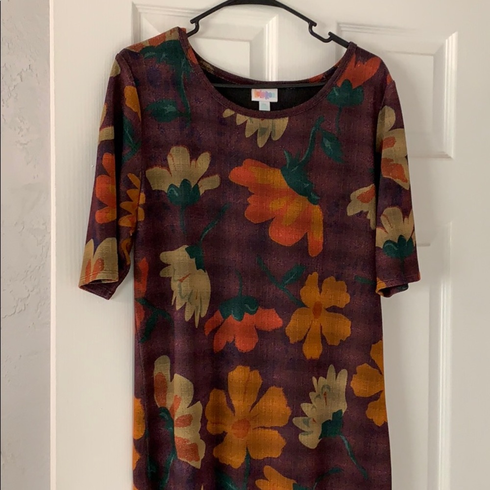 2xL Lularoe Julia dress